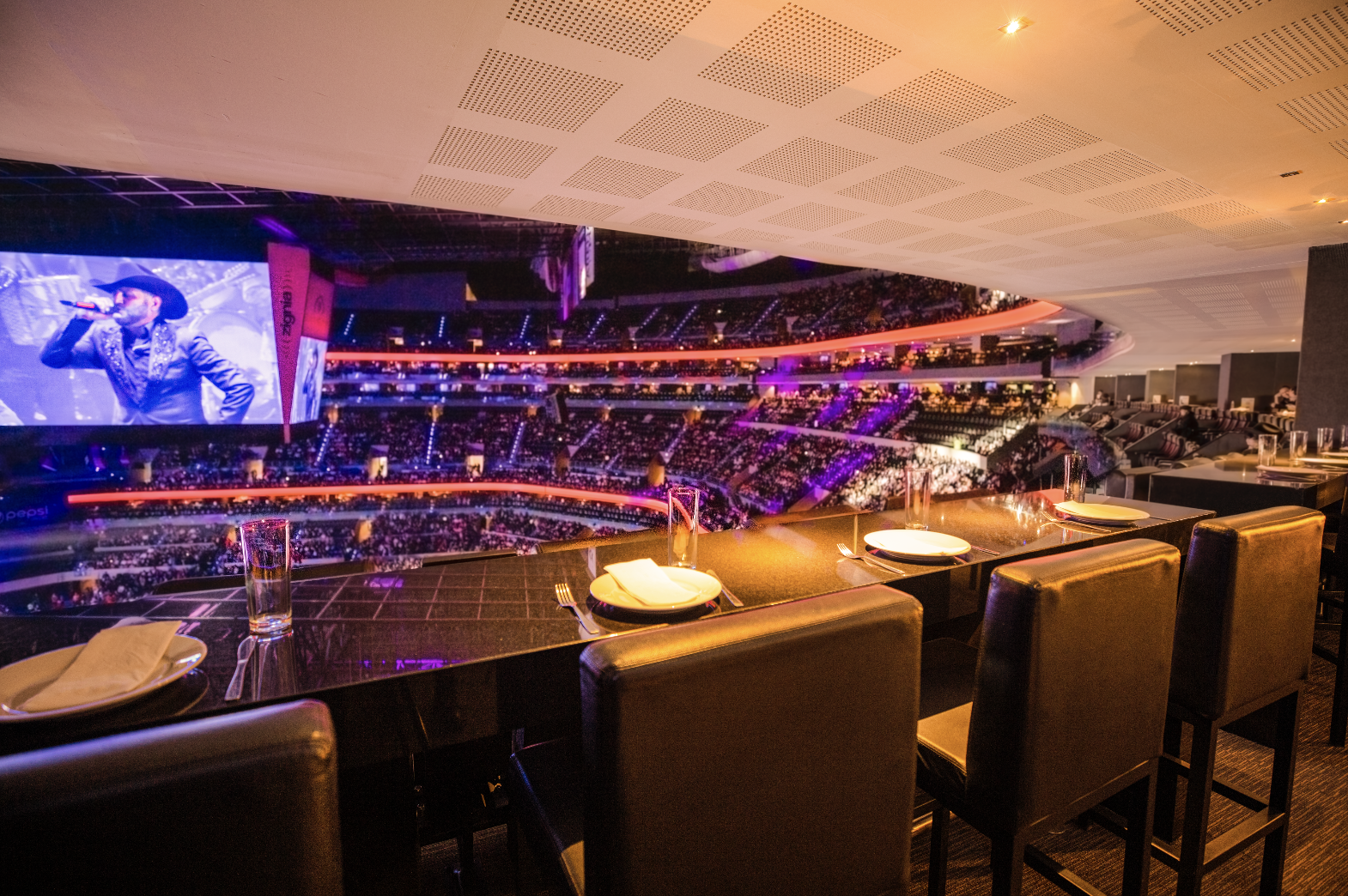 Arena Ciudad de Mexico